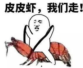 握手抱拳吃瓜群众,解码社交礼仪背后的文化内涵