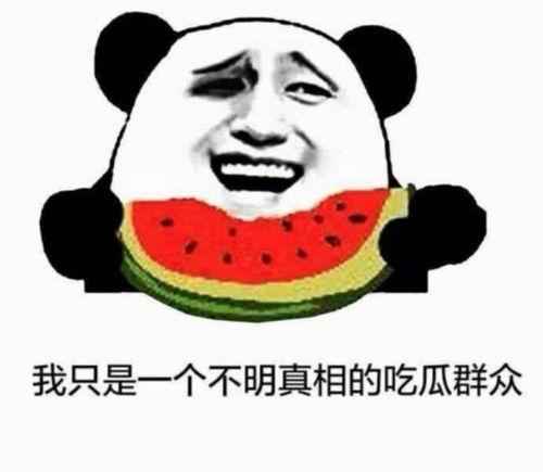 握手抱拳吃瓜群众,解码社交礼仪背后的文化内涵