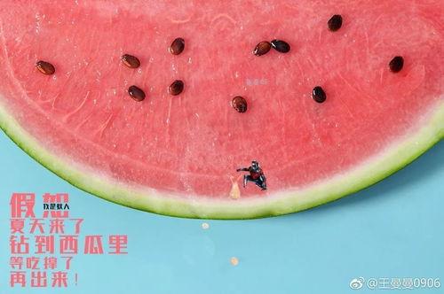 吃瓜彩蛋,探寻美食背后的趣味故事