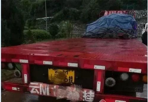 撞车的人吃瓜视频,视频曝光引热议