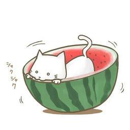 能尚啊吃瓜,网络热词背后的故事与影响