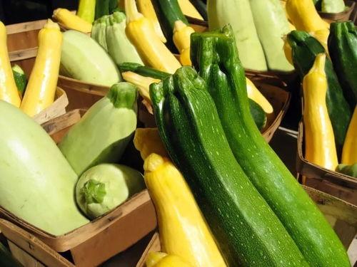 科贸吃瓜,吃瓜群众揭秘行业幕后真相