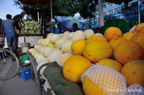 山东日照吃瓜2024,瓜果飘香，夏日味蕾之旅