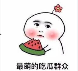 带你吃瓜讲奇葩考题,奇葩考题背后的趣味与智慧