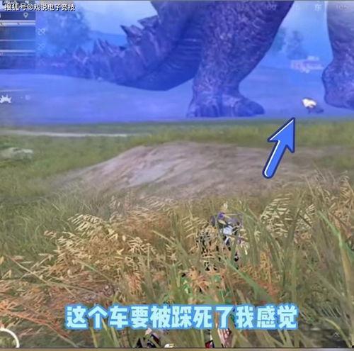 哥斯拉吃瓜头像,揭秘怪兽界的“网红”生活