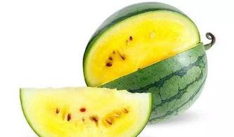 带你吃瓜解说重庆,重庆美食之旅