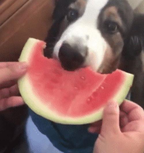 吃瓜绅士,揭秘娱乐圈幕后真相