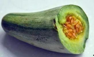 哺乳期吃牛角瓜,牛角瓜可能影响母乳质量