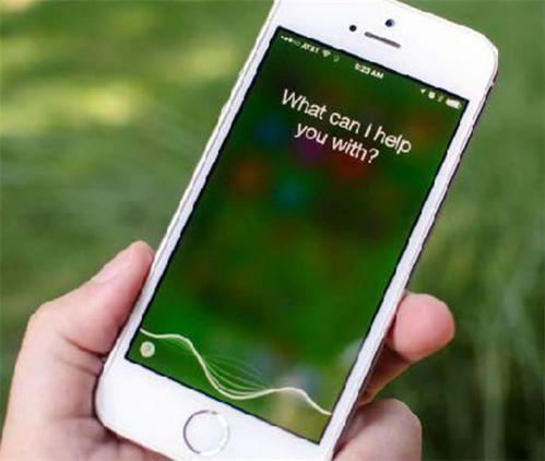 siri在线吃瓜,揭秘科技巨头背后的趣味故事