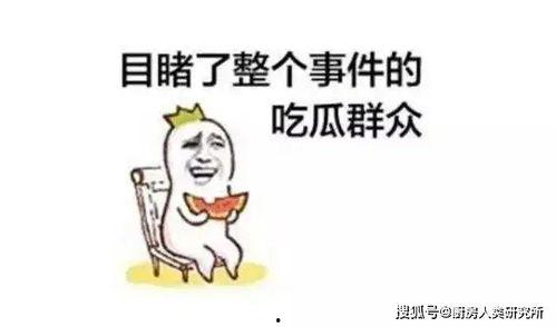 天天吃瓜搞笑,笑出腹肌的欢乐日常