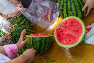 23年吃瓜视频,年度热门事件大盘点