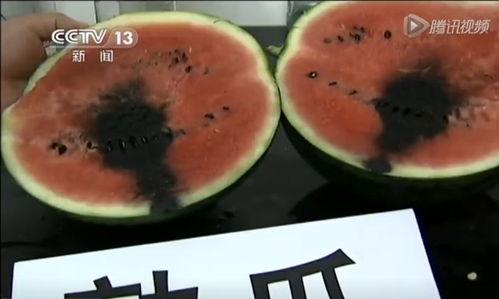 23年吃瓜视频,年度热门事件大盘点