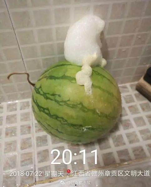 泡泡吃瓜在线,揭秘网络热点的幕后故事