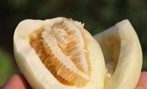 瓜甜怎么吃最好,尽享最佳食用之道