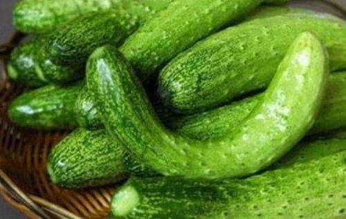 内丘吃瓜,探寻地方特色美食之旅