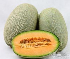 吃中药吃哈密瓜,养生美食的完美融合