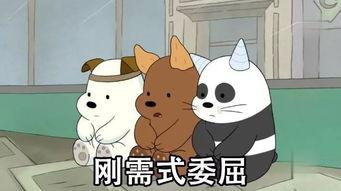 熊熊猫花花吃瓜,花花熊猫的夏日吃瓜时光