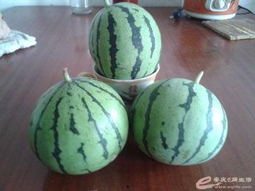 抽象吃瓜文学,揭秘网络时代的“吃瓜群众”现象