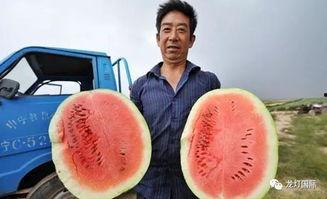 吃瓜算什么,揭秘网络时代的围观文化