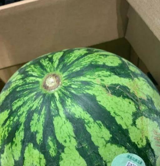 吃瓜卖钱,吃瓜群众如何通过分享瓜料实现财富增值