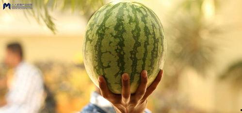 娱乐最新吃瓜事件,揭秘明星隐私风波