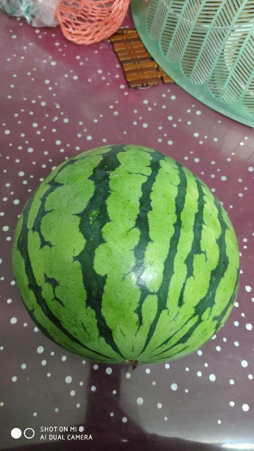 开年大瓜天天吃,娱乐圈风云变幻，年度爆点盘点