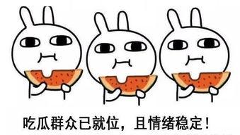 搞笑吃瓜认错人,一场荒诞的喜剧之旅