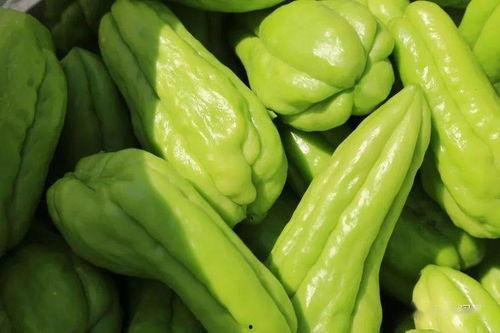 地理吃瓜,探寻各地特色美食的奇妙之旅