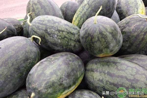 黑皮铁瓜怎样吃