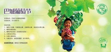 吃瓜好时光,揭秘娱乐圈幕后故事