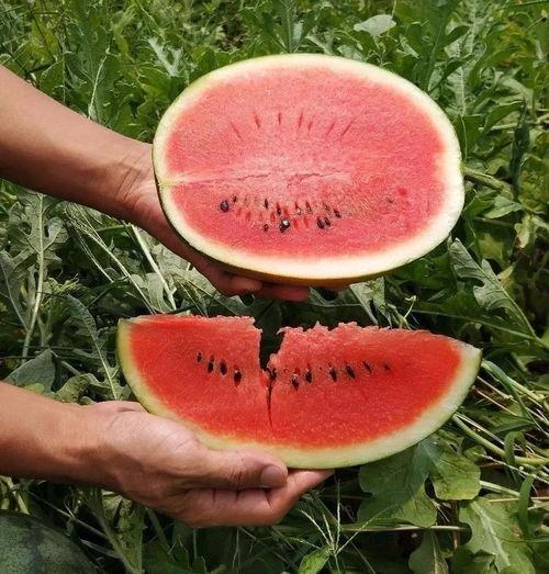 吃瓜好时光,揭秘娱乐圈幕后故事