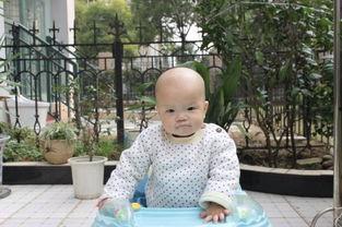 吃瓜的小仔仔,网络红人的崛起与影响力