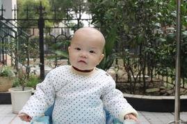 吃瓜的小仔仔,网络红人的崛起与影响力