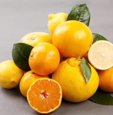 移植后可以吃瓜,美味瓜果的回归之旅