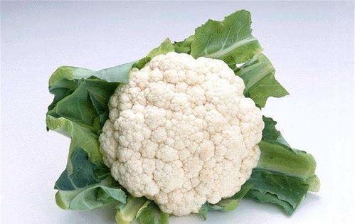 菜花夫妇吃瓜视频,揭秘娱乐圈幕后真相