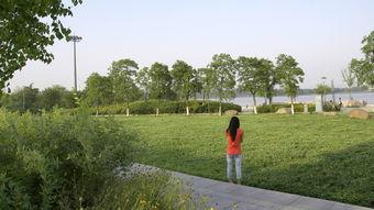 龙湖公园吃瓜,悠闲时光里的甜蜜回忆