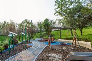 龙湖公园吃瓜,悠闲时光里的甜蜜回忆