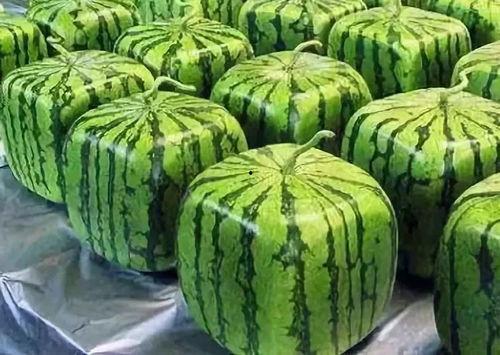 如何找到吃瓜网,轻松找到热门资讯的秘籍指南