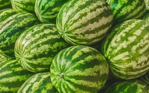 每天都在找瓜吃瓜,我的日常“吃瓜”之旅