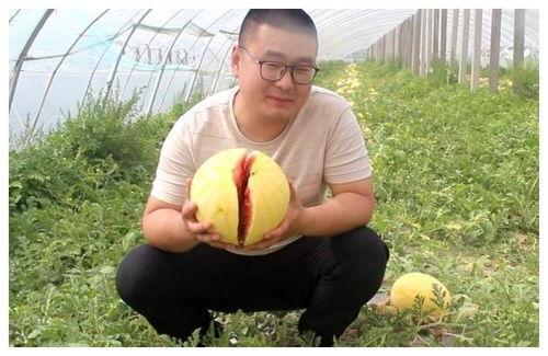 吃瓜网友小骆,揭秘娱乐圈那些不为人知的幕后故事