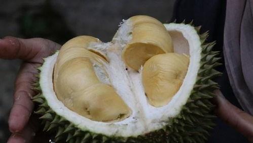 榴莲可以和哈密瓜一起吃吗,美味搭配的奇妙碰撞