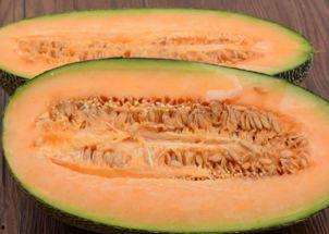 暗影吃哈密瓜,哈密瓜的秘密之旅