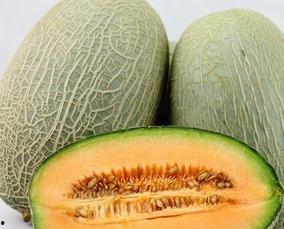 暗影吃哈密瓜,哈密瓜的秘密之旅
