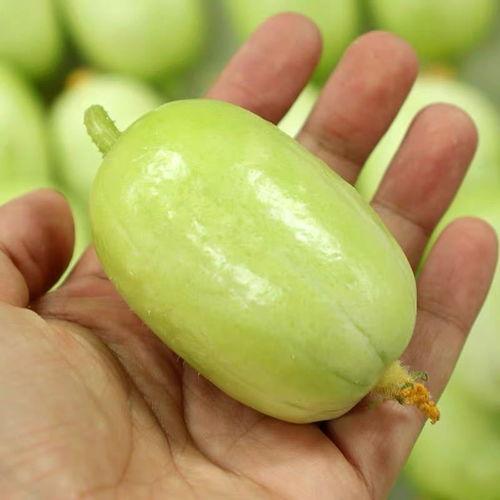 玉女小瓜怎么吃,解锁美味新体验