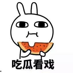 吃瓜 对话,揭秘娱乐圈幕后真相