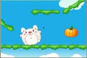 兔子吃囊瓜吗,探寻动物食性之谜