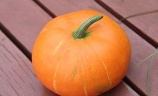 秋部吃瓜,探寻秋季美食新风尚