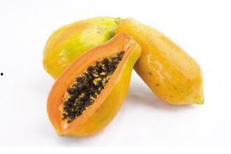 晚上吃螺纹瓜,品味夏日清凉的甜蜜时光