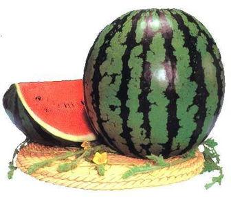 长期吃瓜好吗,揭秘网络舆论背后的真相与影响