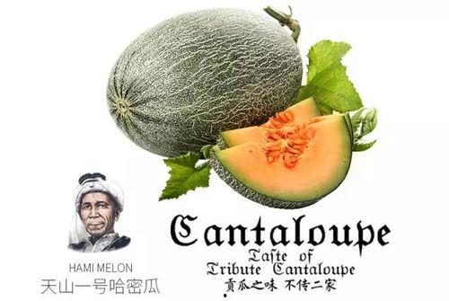 求推荐吃瓜群,畅享娱乐资讯，轻松成为话题中心